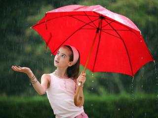 обои Под дождем с красным зонтом фото
