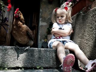 обои Девочка с курицей фото