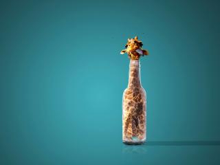 обои для рабочего стола: Жираф в бутылке