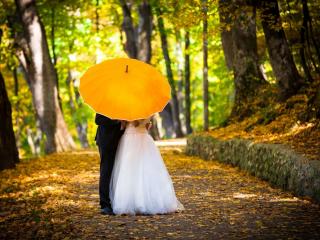 обои Молодожены в парке под зонтом,   свадьба фото