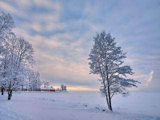 обои Зима в деревне фото