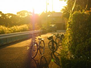 обои Велосипеды в вечернем свете солнца,    на стоянке фото