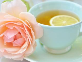 обои Розовая роза и чай с лимоном фото