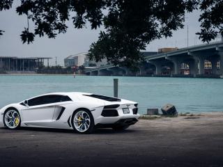 обои Белый Lamborghini на берегу городской реки фото