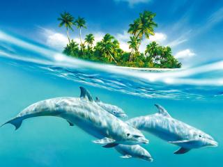 обои Небесные дельфины фото