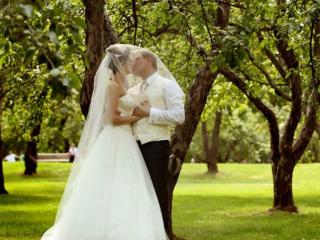 обои Жених и невеста под яблонями фото