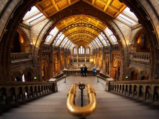 обои Национальный исторический музей. Лондон фото