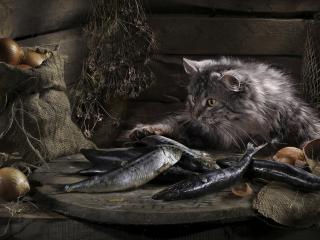 обои Пушистый кот ворует рыбу фото