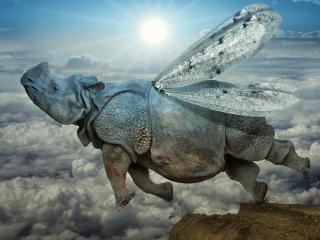 обои для рабочего стола: Полет носорога над облаками