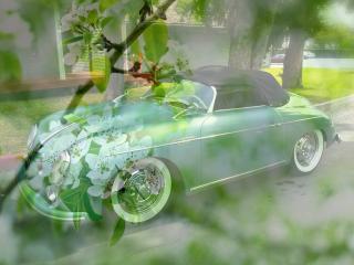 обои Весеняя машина на фоне зеленой весны фото