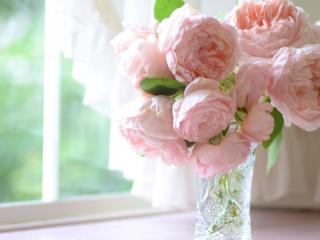 обои Розовые розы в вазе у окна фото