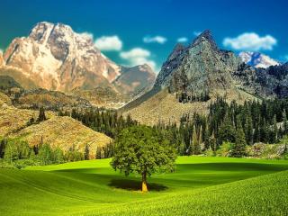 обои Живописные зеленые горы фото