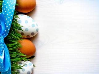 обои Яйца в траве с ленточкой фото