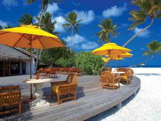 обои Открытое кафе на тропическом пляже фото