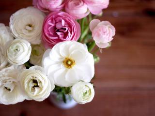 обои Букет розовых и белых роз фото