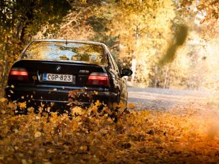 обои BMW заметает дорогу листвой фото