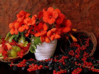 обои Натюрморт - Обилие ягоды и красные цветы фото
