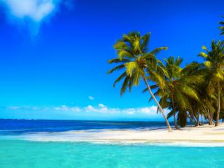 обои Маленький остров с пальмами в тропиках фото