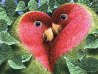 обои Красно-зелёные попугайчики фото