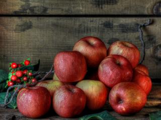 обои Горка красных яблок фото