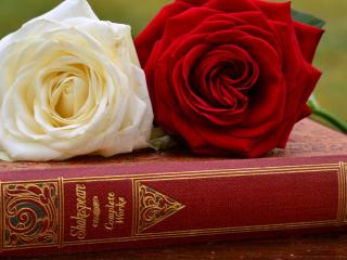 обои Две розы на томике Шекспира фото