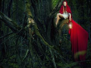обои Девушка с фонарем в дремучем лесу фото