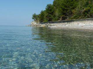 обои Берег моря в Абхазии фото
