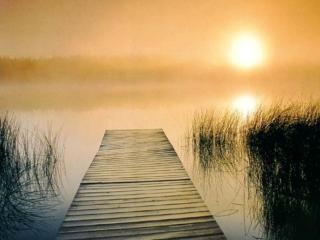 обои Утренний туман и солнце на озере фото