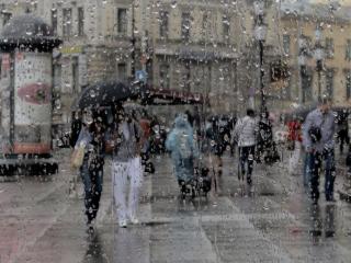 обои Питерский дождь фото