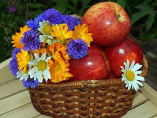 обои Яблоки и цветы в корзине фото