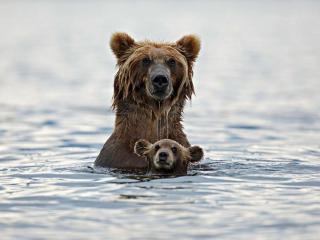 обои Малыш учится плавать фото