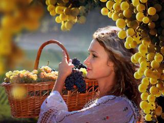 обои Девушка с виноградом. Крым фото