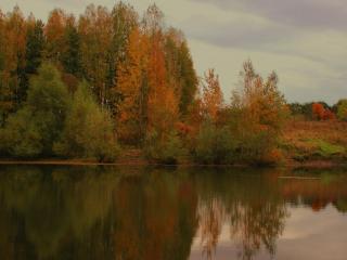 обои Осенний пруд. Подмосковье фото