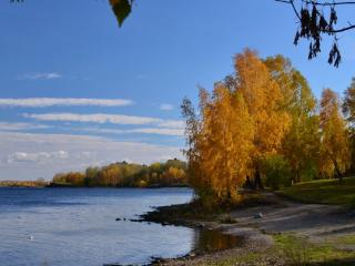 обои Осенний городской пруд фото