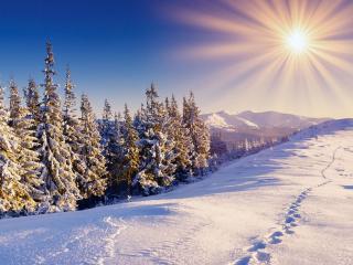 обои Зимний диск солнца над снежной горой фото