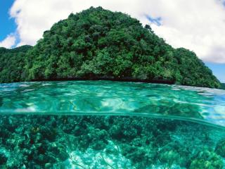 обои Зеленый остров из под воды фото