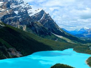 обои Голубое озеро зеленой тайги фото