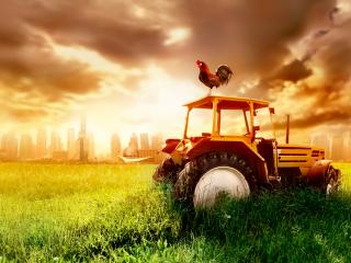 обои Ржавый брошенный трактор на поле за городом фото