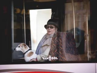 обои Дама в автобусе с собачкой фото