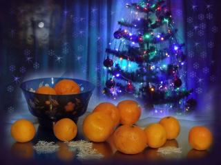 обои Апельсины и ёлка фото