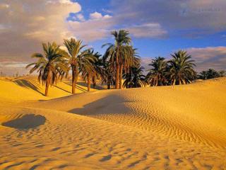 обои Пустыня Сахара. Тунис фото