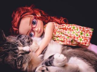 обои Кукла и кот фото