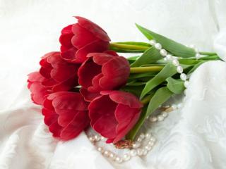 обои Тюльпаны с жемчугом фото