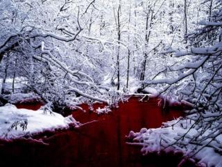 обои Красное озеро фото