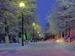 обои Зимние городские фонари фото