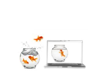 обои Рыбка в ноутбуке фото
