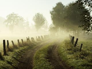 обои Misty Morning, Lower Saxony, Germany фото