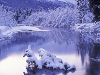 обои Ветка со снегом посреди ручья фото