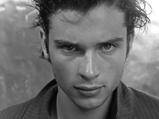 обои для рабочего стола: Tom Welling