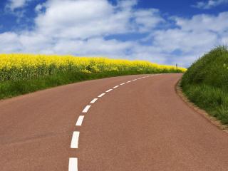 обои Идеальная дорога среди цветов и зелени фото
